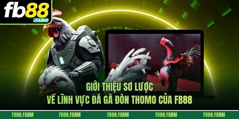 Giới thiệu sơ lược về lĩnh vực đá gà đòn Thomo của FB88