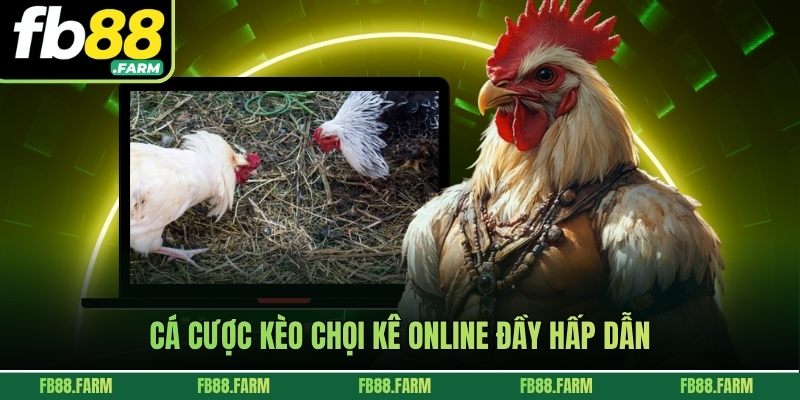 Cá cược kèo chọi kê online đầy hấp dẫn