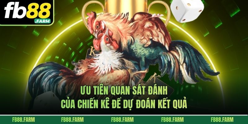 Ưu tiên quan sát đánh của chiến kê để dự đoán kết quả