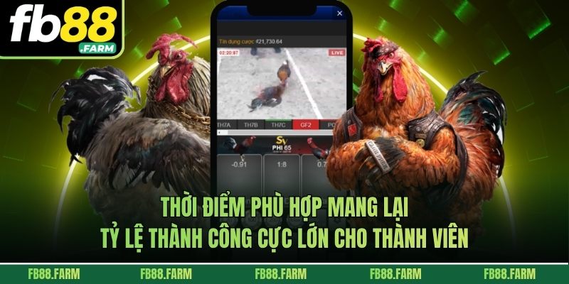 Thời điểm phù hợp mang lại tỷ lệ thành công cực lớn cho thành viên