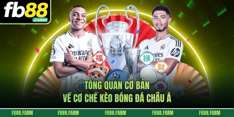 Tổng quan cơ bản về cơ chế kèo bóng đá châu Á